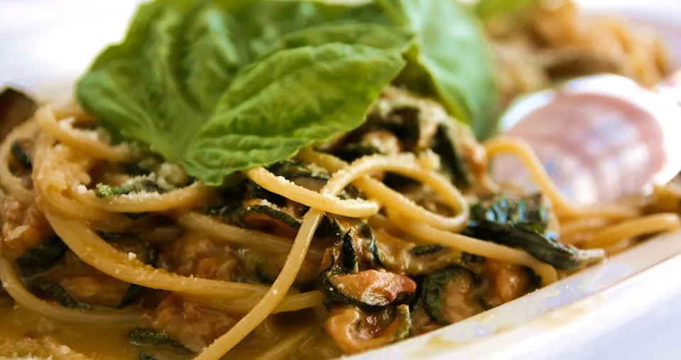 Our specialities-1